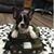 Dee Jaye Miles's profile image