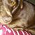Howard Muhr's profile image