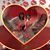 Roxanne Creeden Covalucci's profile image