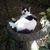 Kim Hubbard's profile image