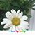 Patty Stewart's profile image
