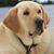 Russell Robishaw's profile image