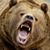 Bear Wood's profile image