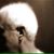 Ted Fines's profile image