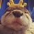 Steven Appelget's profile image
