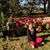 Susan Kerry Tortora's profile image