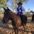 Dona Rice Mosley's profile image