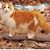 Michelle Davidson's profile image