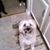 Nancy Schofner's profile image