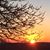Tracie Cabral's profile image