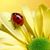 Karen Harrison Riggs's profile image