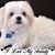 Laura Beatriz Corona's profile image