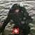 Jérôme Sulzer's profile image