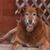 Gary Brenda Lambrix's profile image