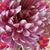 Kearn Wedgeworth's profile image
