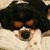 Susan Fleenor's profile image