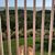 Michele Ann's profile image