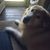 Helen Naret's profile image