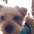 Diana Sandstrom's profile image