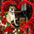Diane Seitter's profile image