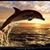 Deborah Munday's profile image