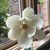 Elaine Smith's profile image