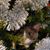Sherry Ullman's profile image