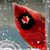 Kim Moe Erickson's profile image