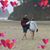 Lori Cooper's profile image