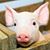 Margaret Doty Hensley's profile image