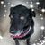 Tracie Mary's profile image