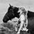 Karry K. Pallo's profile image