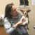 Michelle Cernek's profile image