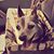 Lyndsy Marmor's profile image