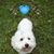 Yz Maria's profile image