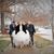 Erin Thornburgh's profile image