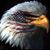 Bruce A. Frank's profile image