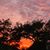 Karen Reinhart Murray's profile image