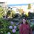 Siobhan Plummer's profile image