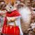 Margie Demler Pasiak's profile image