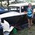 Penny Lynn Berridge's profile image