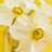 Anna Robinson's profile image