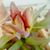 Maggie Charlie's profile image