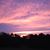 Pam Hartman's profile image