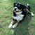 Terri Durlack Cannady's profile image