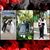 Stephanie Romero's profile image