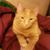Marsha Hastings's profile image