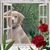 Glenda Morris's profile image