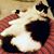 Judy Roberts Pennell's profile image