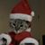 Tammy Haak's profile image